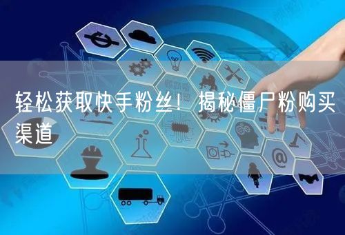 轻松获取快手粉丝!揭秘僵尸粉购买渠道