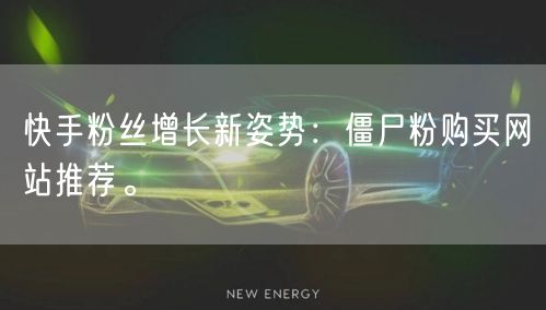 快手粉丝增长新姿势:僵尸粉购买网站推荐。