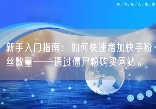 新手入门指南:如何快速增加快手粉丝数量——通过僵尸粉购买网站。