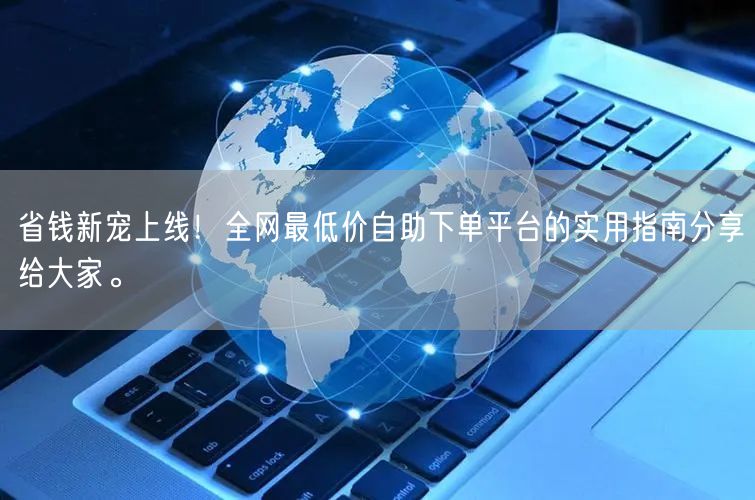 省钱新宠上线!全网最低价自助下单平台的实用指南分享给大家。