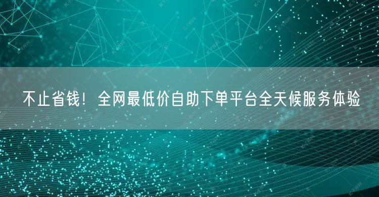 不止省钱!全网最低价自助下单平台全天候服务体验