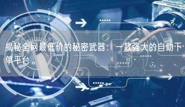 揭秘全网最低价的秘密武器:一款强大的自助下单平台。