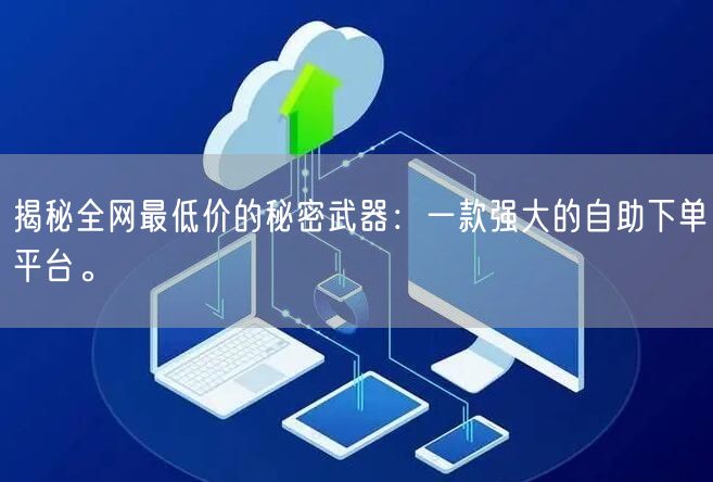 揭秘全网最低价的秘密武器:一款强大的自助下单平台。