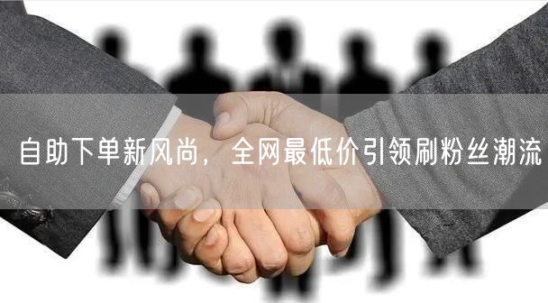 自助下单新风尚,全网最低价引领刷粉丝潮流