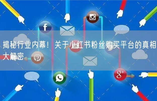揭秘行业内幕！关于小红书粉丝购买平台的真相大解密