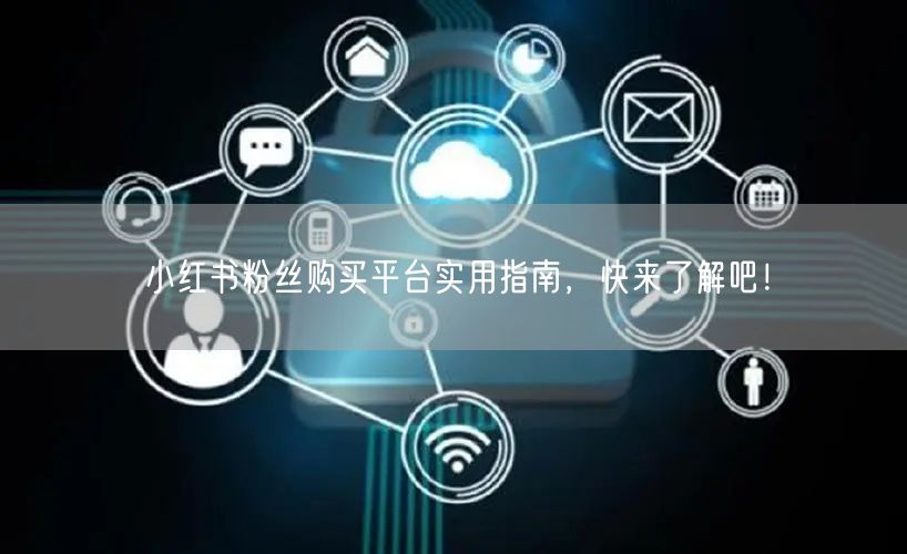 小红书粉丝购买平台实用指南，快来了解吧！
