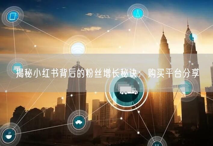 揭秘小红书背后的粉丝增长秘诀：购买平台分享