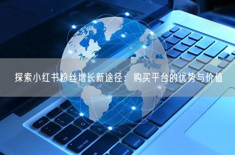 探索小红书粉丝增长新途径：购买平台的优势与价值