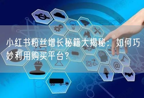 小红书粉丝增长秘籍大揭秘：如何巧妙利用购买平台？
