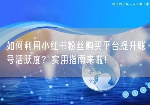 如何利用小红书粉丝购买平台提升账号活跃度？实用指南来啦！