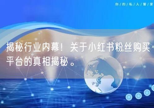 揭秘行业内幕！关于小红书粉丝购买平台的真相揭秘。