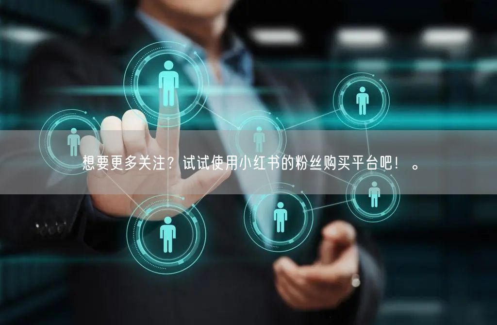 想要更多关注？试试使用小红书的粉丝购买平台吧！。
