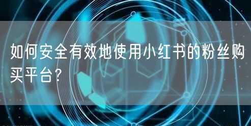 如何安全有效地使用小红书的粉丝购买平台？