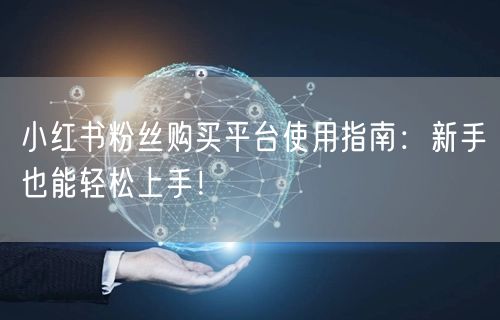 小红书粉丝购买平台使用指南：新手也能轻松上手！