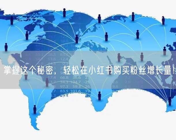 掌握这个秘密，轻松在小红书购买粉丝增长量！
