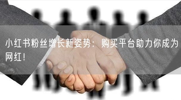 小红书粉丝增长新姿势：购买平台助力你成为网红！