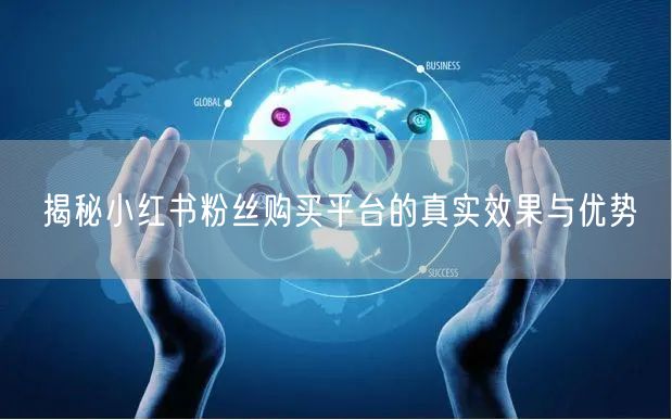 揭秘小红书粉丝购买平台的真实效果与优势