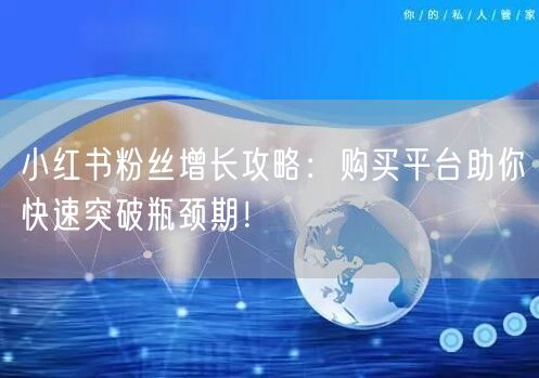 小红书粉丝增长攻略：购买平台助你快速突破瓶颈期！