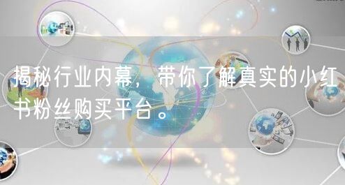 揭秘行业内幕，带你了解真实的小红书粉丝购买平台。