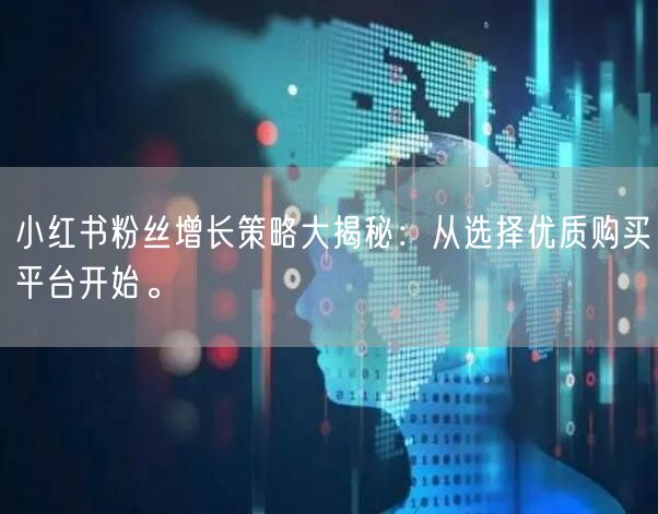 小红书粉丝增长策略大揭秘：从选择优质购买平台开始。