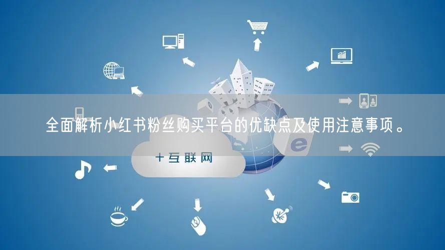 全面解析小红书粉丝购买平台的优缺点及使用注意事项。