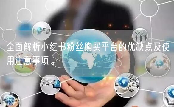 全面解析小红书粉丝购买平台的优缺点及使用注意事项。