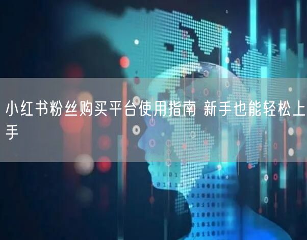 小红书粉丝购买平台使用指南 新手也能轻松上手
