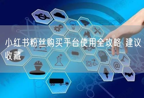 小红书粉丝购买平台使用全攻略 建议收藏