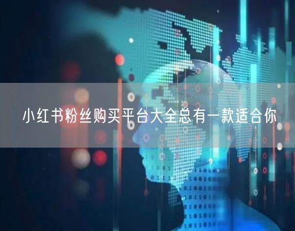 小红书粉丝购买平台大全总有一款适合你