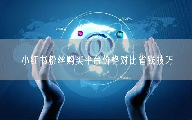 小红书粉丝购买平台价格对比省钱技巧