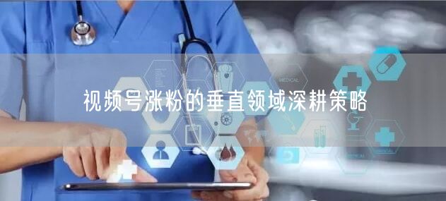 视频号涨粉的垂直领域深耕策略